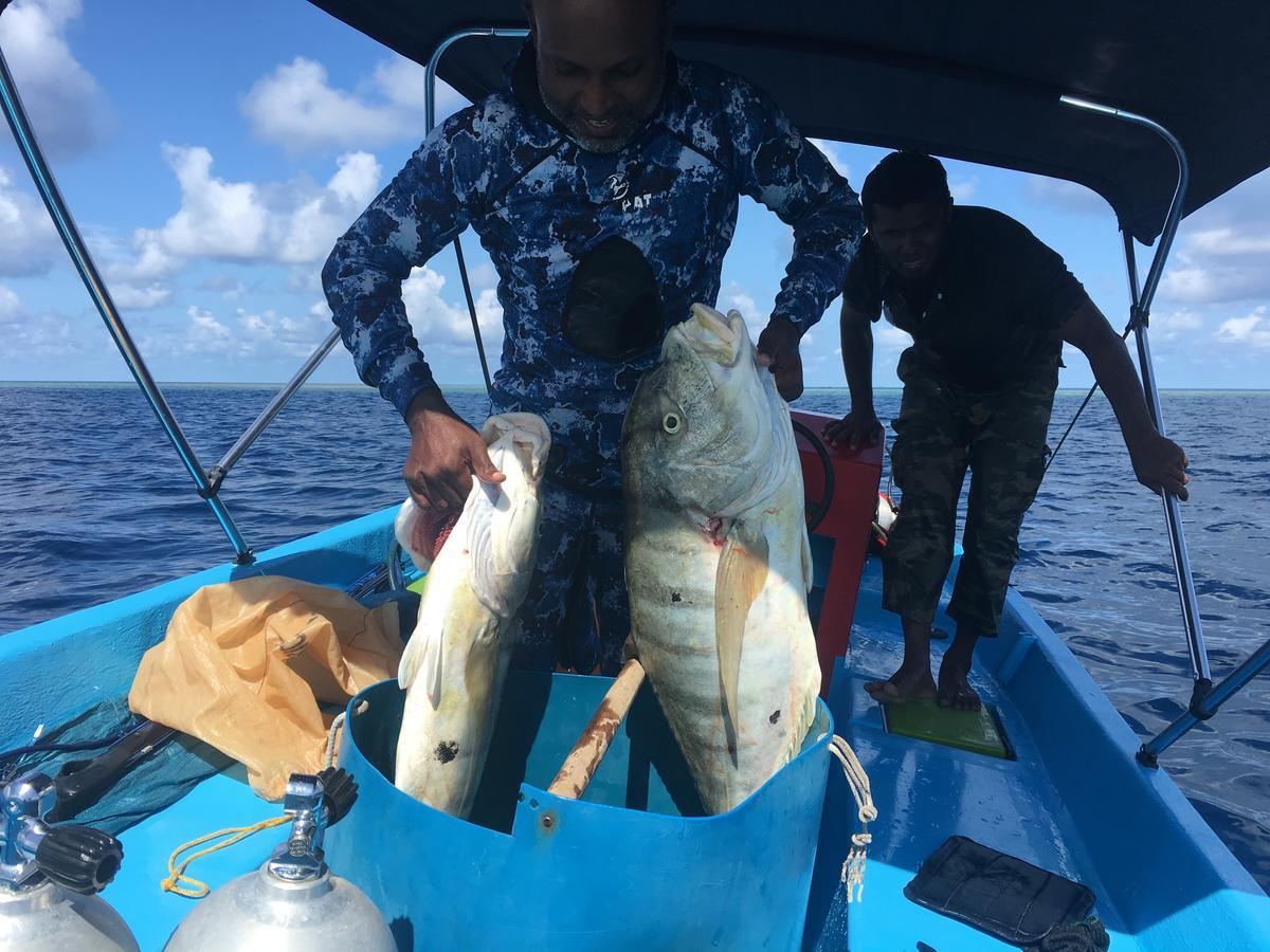 Marinabayvilla-Himandhoo Kültér fotó